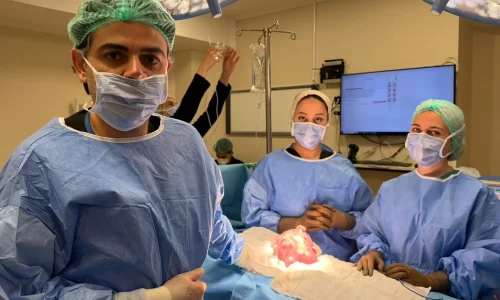 myomectomy surgery in Turkey, Istanbul by Prof. Dr. Gokhan Boyraz
