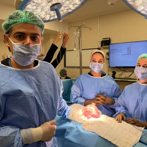 myomectomy surgery in Turkey, Istanbul by Prof. Dr. Gokhan Boyraz